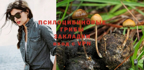 прущий лед Белокуриха