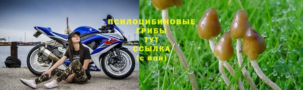 прущий лед Белокуриха